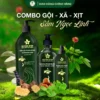 Dầu Gội Xả Xịt Dưỡng Biotin Sâm Ngọc Linh Combo 3 chai Dân Bùi Xứ Nẫu dau goi xa xit duong biotin sam ngoc linh