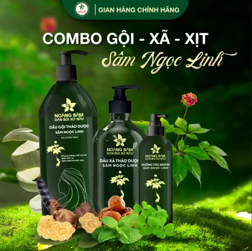 Dầu Gội Xả Xịt Dưỡng Biotin Sâm Ngọc Linh Combo 3 chai Dân Bùi Xứ Nẫu